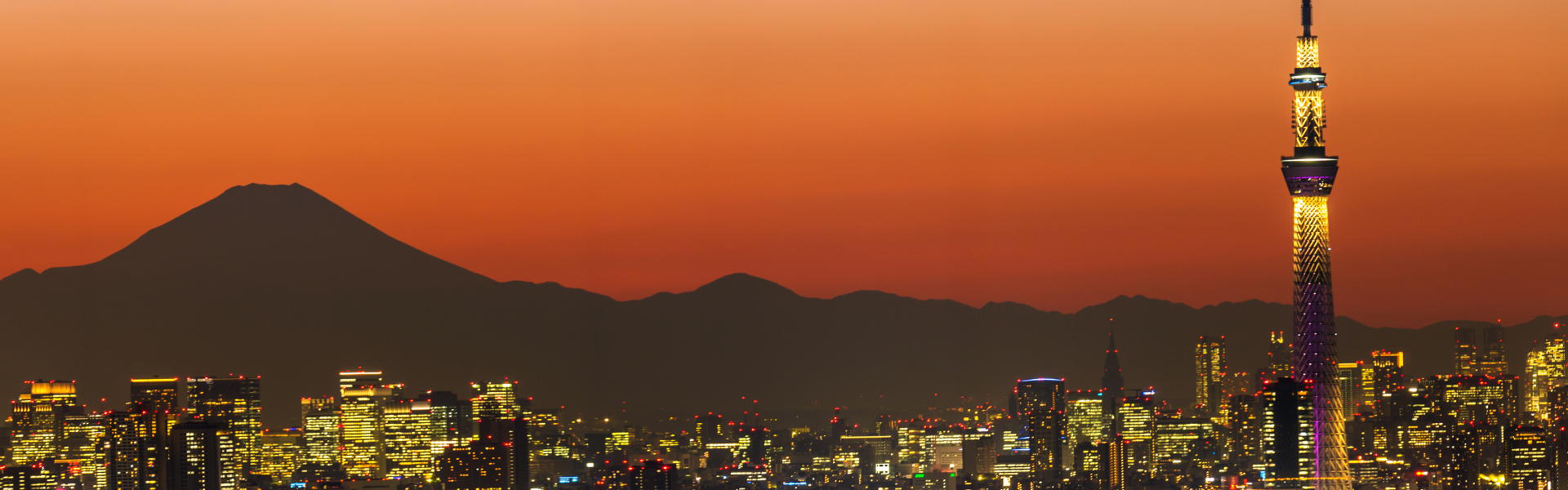 Tokyo Web Design & Creative Agency